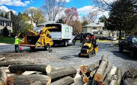 Best Storm Damage Tree Cleanup  in Westmont, NJ